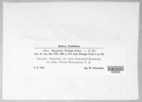 Image Associated With the Occurence